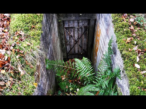 KSP-VÄRNET norr om GARNANÄS och RYSSJÖN - 201029 - Bräkne-Hoby - RONNEBY (Blekinge) (Bunker)