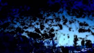 Wymond Miles "Night Drives" (Official Music Video)