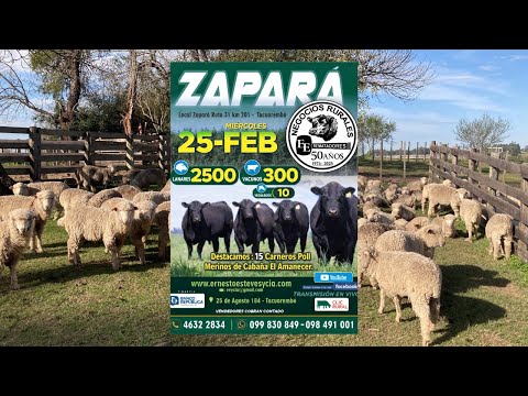 Remata Ernesto Esteves y Cia - Local Zapará Tacuarembó- 25 de Febrero de 2026