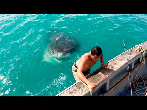 Moments Filmed Seconds Before Disasters