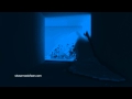Realflow Room Flood