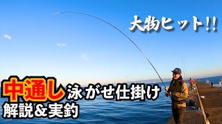中通し泳がせ釣り｜泳がせ仕掛けを徹底解説