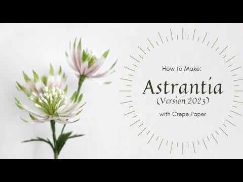 NEW METHOD TO MAKE PAPER ASTRANTIA | FILLER FLOWERS