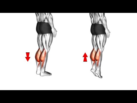 SUPER TREINO DE PANTURRILHA (os 5 melhores exercícios de panturrilha)