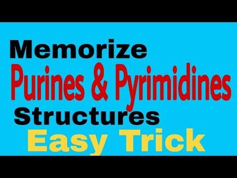 Purine & Pyrimidine Structures ||  Easy way to memorize
