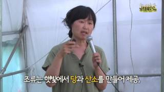 10강 농사의 전부, 흙