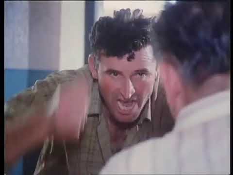 Šije 1970 - šijavica