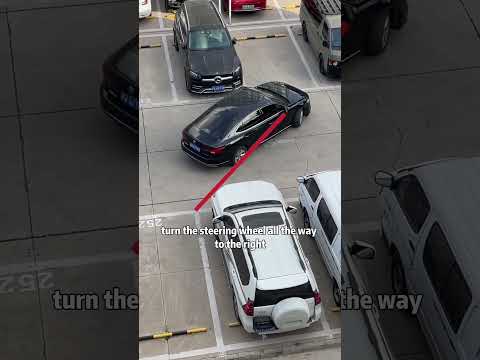 My followers must know how to reverse into a parking space!#car  #carsafety  #driving  #tips