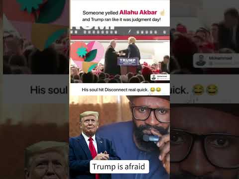 this is funny #thebigjaf #trump #usa