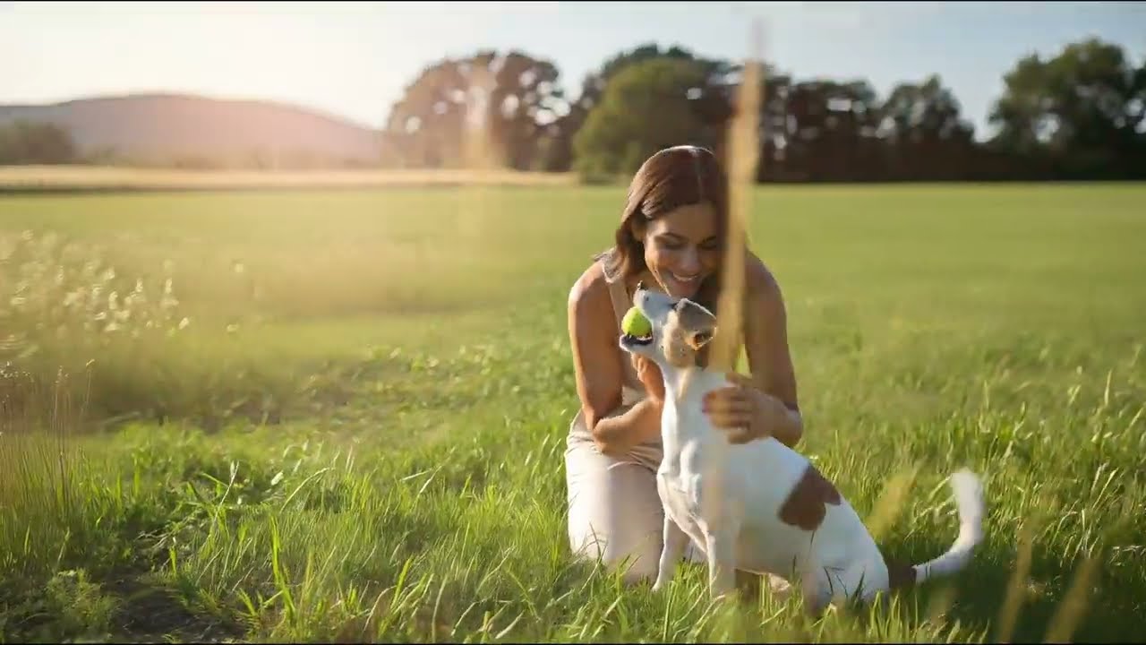 Petfinity — Watch the film
