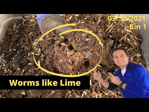 Bin 1 Feeding and Update 3/30/2021