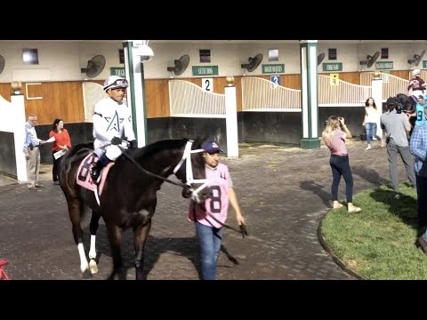 Major General wins the 2021 Iroquois Stakes