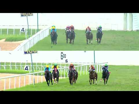 TOLKIEN : THE CHAMPION TRAINER CUP (167)