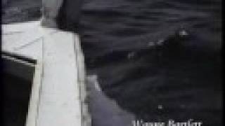 ABCs of the Newfoundland Cod Fishery