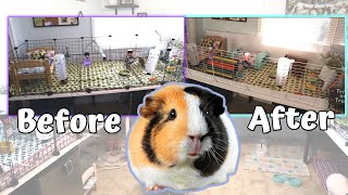 Guinea Pig Cage Makeover // how to build a c&c cage!