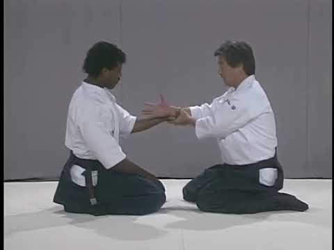 Aikido - The Power and the Basics Vol. 2  - Yoshimitsu Yamada shihan