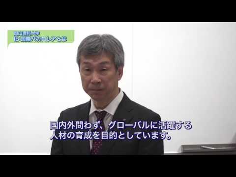 IBとは