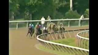 2003 Whitney Handicap - Medaglia d'Oro