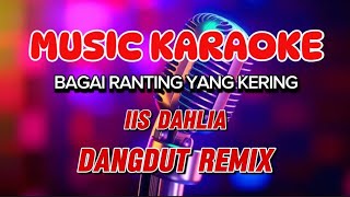 Download lagu BAGAI RANTING YANG KERING ~ KARAOKE DANGDUT REMIX ~ IIS DAHLIA mp3
