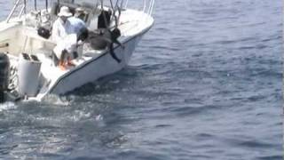 PSFL Overwhelmed by Tuna
