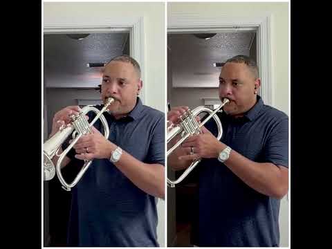 Amazing Couesnon “Star” Flugelhorn 1973 - Silver image 17