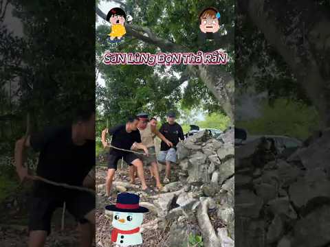 Truy Đuổi Hai Kẻ Bí Ẩn Lén Thả Rắn Ra Đồng  #viral#trending #shorts #nongnghiep #kechuyen  #funny