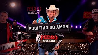 Pedro Soberano - Fugitivo do Amor (Vídeo Oficial)