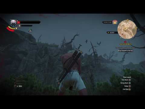 The Witcher 3 - Death March is too Easy! Part #73: Hags, Harpies and Foglets