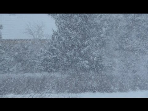 Hóömlés,Heavy Snowfall 2015.01.29