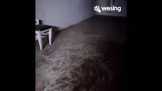 Download lagu Sarang Dosa cover Baiq Mega mp3