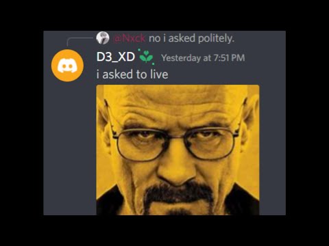 when discord mod mutes u: