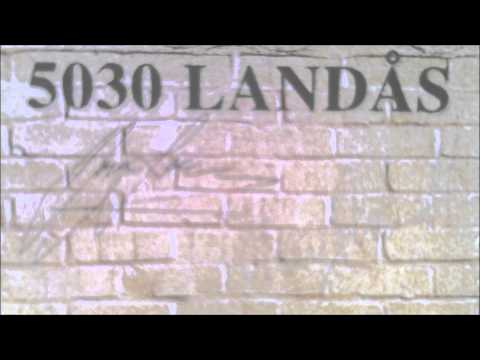 5030 LANDÅS Golden earrings