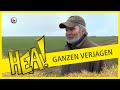 HEA! Ganzen verjagen