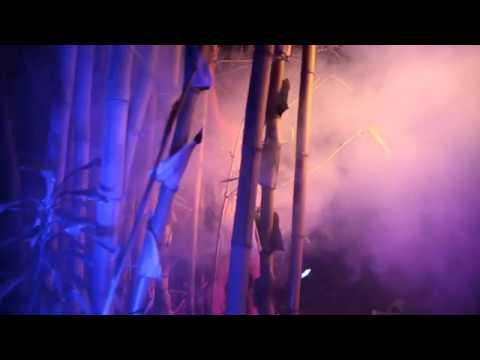 Fly Away by Malia Carine   YouTube