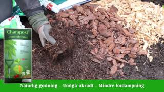 Topdække med Champost