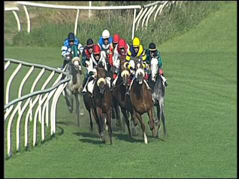 Galoppo 06/04/2016 - 5° corsa