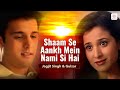 Jagjit Singh Ghazal Shaam Se Aankh Mein Nami Si Hai Jimmy Shergill Simone Singh Gulzar