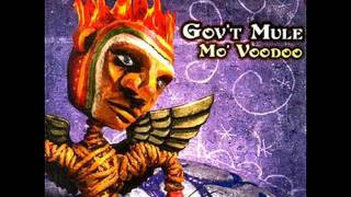Gov't Mule - I'll Be The One.wmv