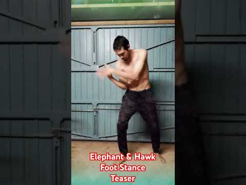 Kai Len Elephant & Hawk Foot Stance Teaser #martialarts #kailen