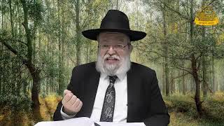 דף היומי בחצי שעה – בבא מציעא דף ל”ד