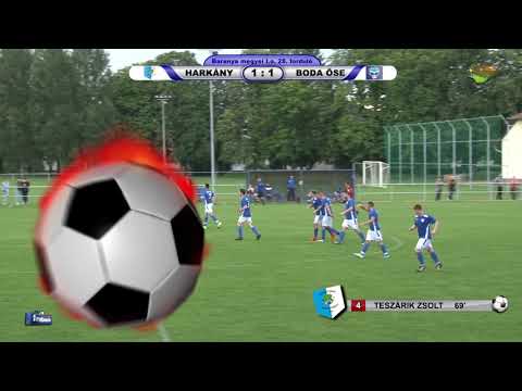 GYÓGYFÜRDŐ HARKÁNY - BODA ÖSE   3 - 3 (0 - 1)