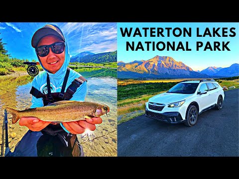 Waterton Lakes National Park Camping &amp; Fishing (First Ever Grayling)