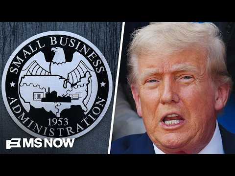 Is a billion-dollar company a SMALL business? The Trump administration is trying to say so