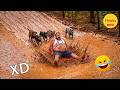 VIDEOS DE RISA 🤣 SI TE RÍES PIERDES NIVEL DIOS #729 😎HUMOR VIRAL MEXICANO🤣 DEFAULT Thumbnail