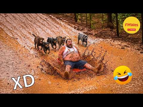 Funny Videos 🤣 If You Laugh You Lose GOD LEVEL #729 😎Mexican Viral Humor🤣