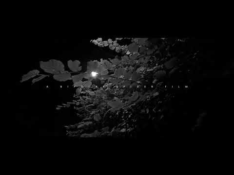 Lyrical Strally - The Medicine (Music Video)