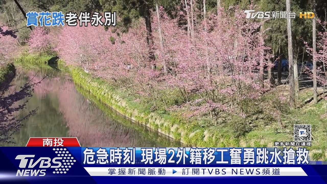 賞櫻拍照失足　夫妻同遊75歲婦杉林溪溺水