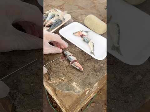 كيف تتعلم الصيد ولا تأخد السمكة #maroc #explore #unboxing #diy