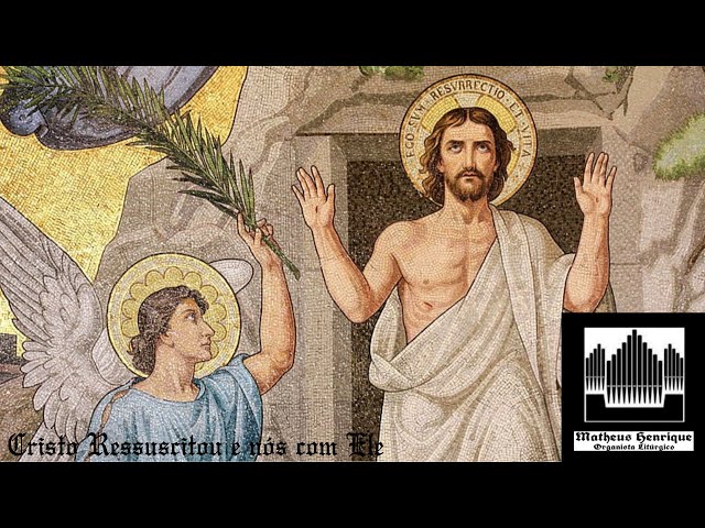 Preview do vídeo