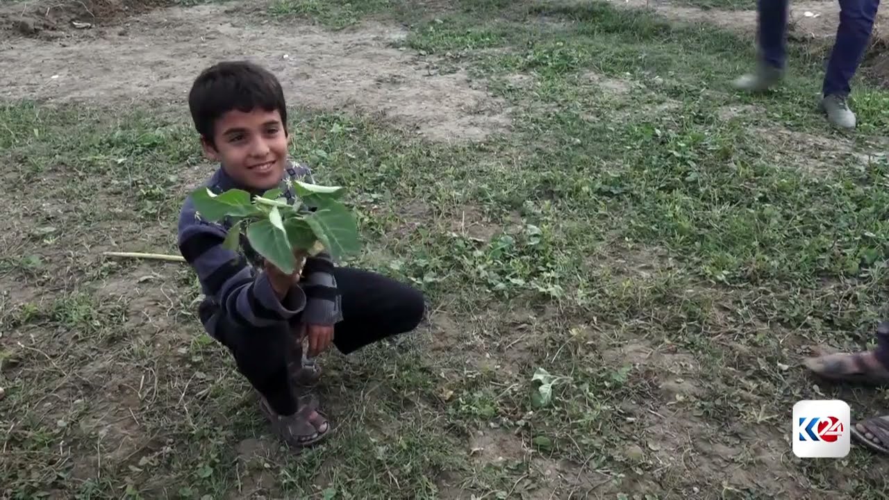ڤیدیۆ | مۆته‌كه‌ی مادده‌ هۆشبه‌ره‌كان بەرۆكی عێراقیەكان بەرنادات